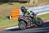 brands-hatch-photographs;brands-no-limits-trackday;cadwell-trackday-photographs;enduro-digital-images;event-digital-images;eventdigitalimages;no-limits-trackdays;peter-wileman-photography;racing-digital-images;trackday-digital-images;trackday-photos